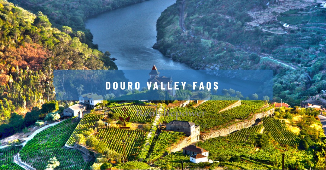 Journey Through The Enchanting Douro Valley: A Tapestry Of Nature 