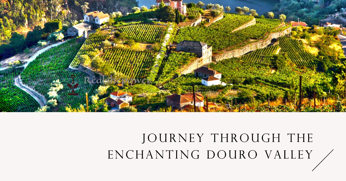 Journey Through The Enchanting Douro Valley: A Tapestry Of Nature 